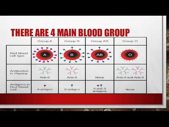 THERE ARE 4 MAIN BLOOD GROUP