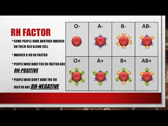 RH FACTOR SOME PEOPLE HAVE ANOTHER MARKER ON THEIR RED BLOOD CELL