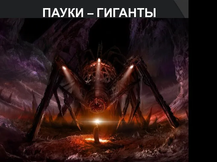 ПАУКИ – ГИГАНТЫ