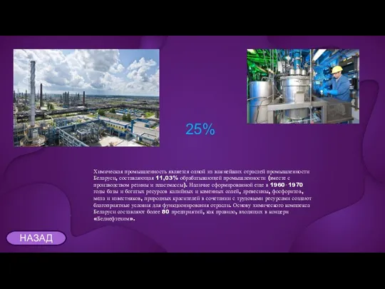 Химическая промышленность является одной из важнейших отраслей промышленности Беларуси, составляющая 11,03% обрабатывающей