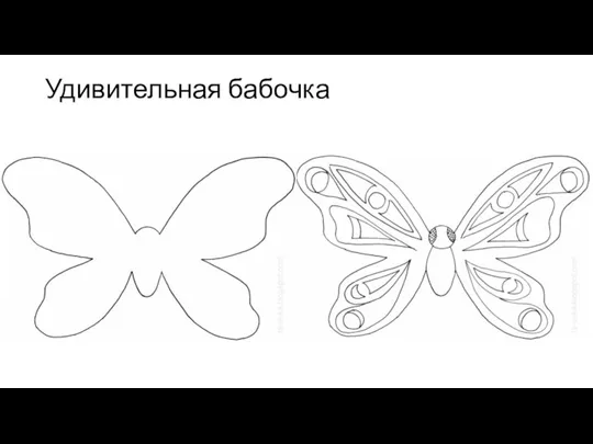 Удивительная бабочка