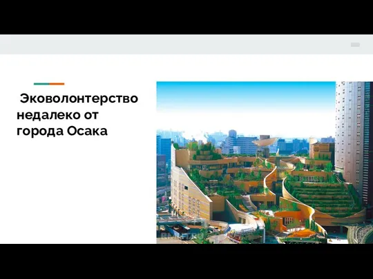 Эковолонтерство недалеко от города Осака