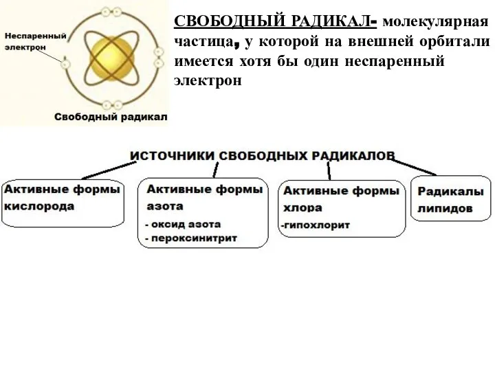 СВОБОДНЫЙ РАДИКАЛ- молекулярная частица, у которой на внешней орбитали имеется хотя бы один неспаренный электрон