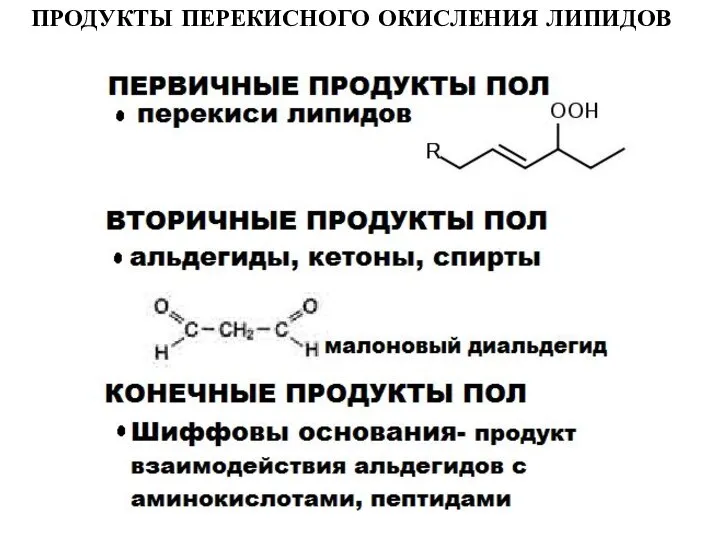 ПРОДУКТЫ ПЕРЕКИСНОГО ОКИСЛЕНИЯ ЛИПИДОВ