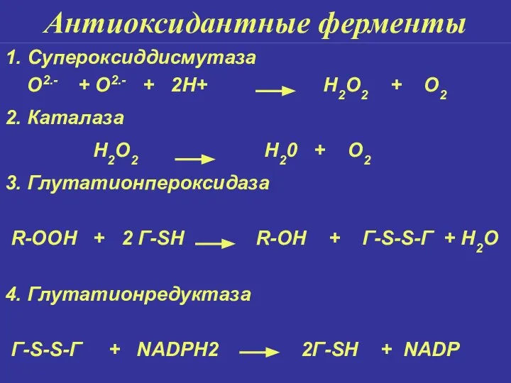 Антиоксидантные ферменты 1. Супероксиддисмутаза O2.- + O2.- + 2H+ H2O2 + O2