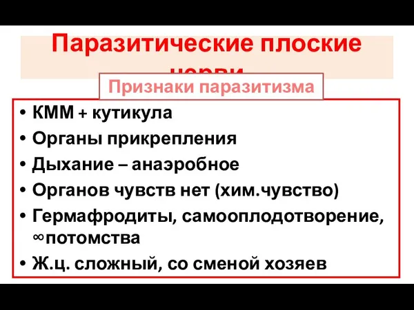 Паразитические плоские черви КММ + кутикула Органы прикрепления Дыхание – анаэробное Органов