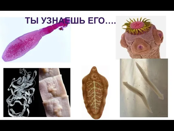 ТЫ УЗНАЕШЬ ЕГО….