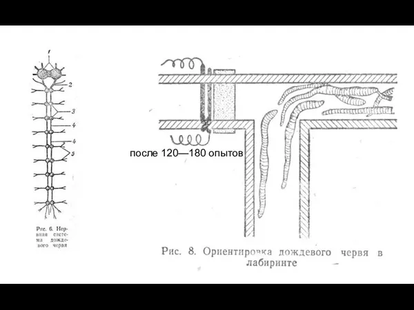 после 120—180 опытов