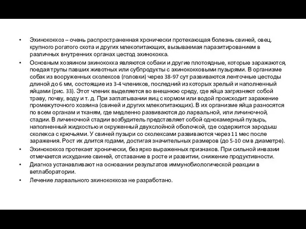 Эхинококкоз – очень распространенная хронически протекающая болезнь свиней, овец, крупного рогатого скота