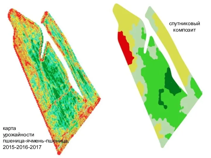 спутниковый композит карта урожайности пшеница-ячмень-пшеница, 2015-2016-2017