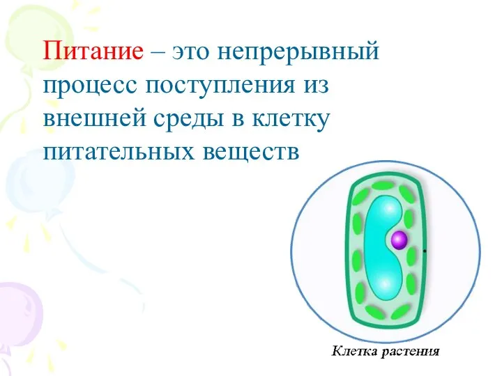 Питание – это непрерывный процесс поступления из внешней среды в клетку питательных веществ