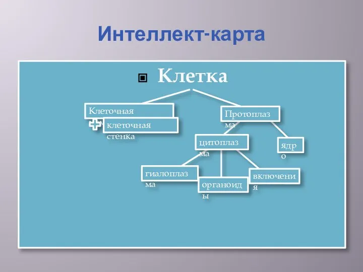 Интеллект-карта Клетка Клеточная мембрана клеточная стенка ядро гиалоплазма органоиды включения цитоплазма Протоплазма