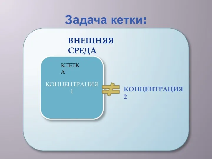 Задача кетки: КОНЦЕНТРАЦИЯ 1 КЛЕТКА ВНЕШНЯЯ СРЕДА КОНЦЕНТРАЦИЯ 2