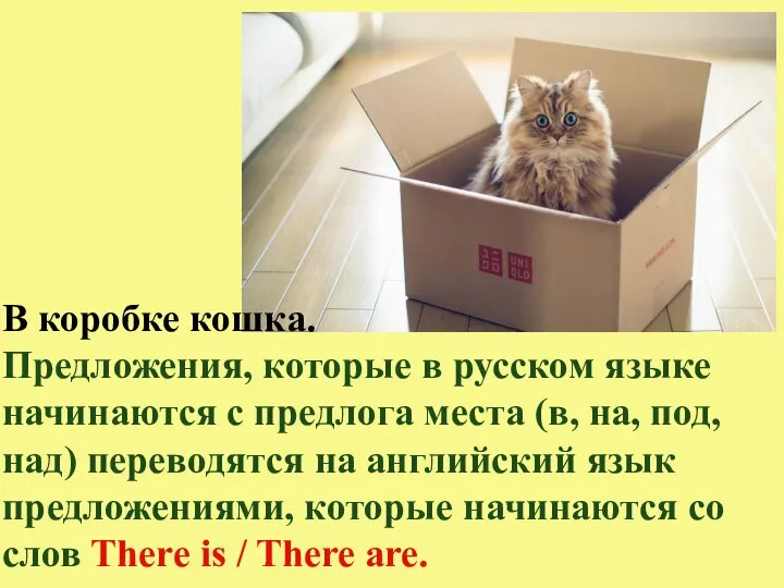 В коробке кошка. Предложения, которые в русском языке начинаются с предлога места