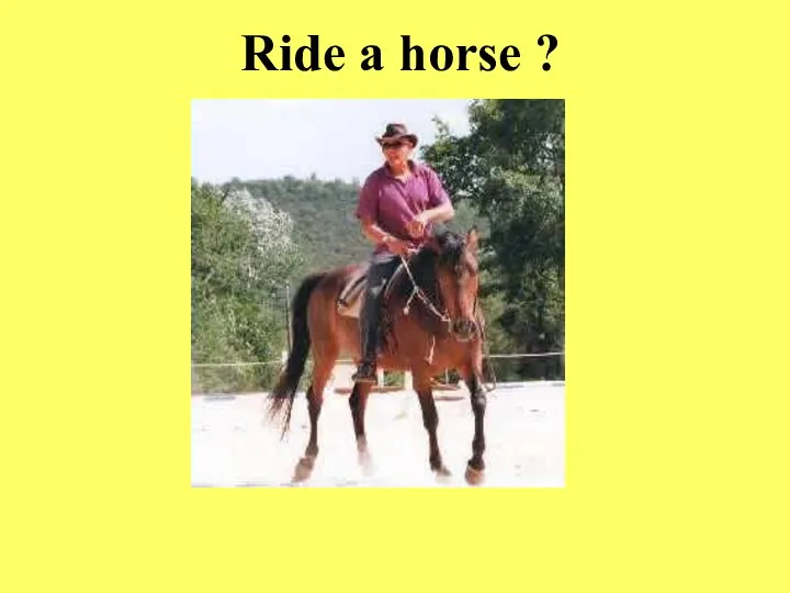 Ride a horse ?