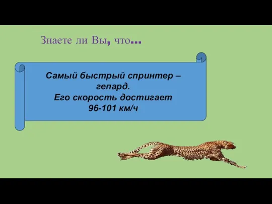 Знаете ли Вы, что… Самый быстрый спринтер – гепард. Его скорость достигает 96-101 км/ч