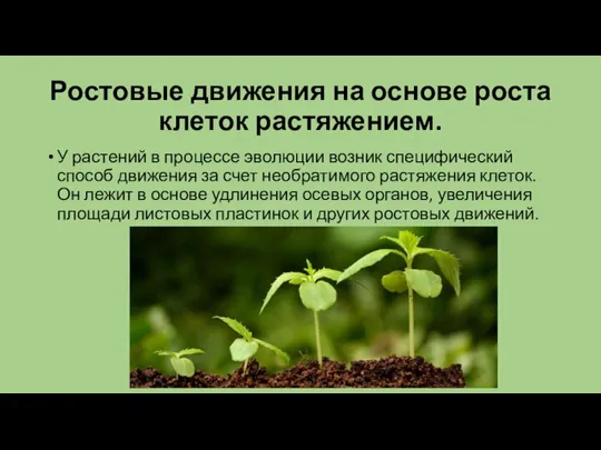 Ростовые движения на основе роста клеток растяжением. У растений в процессе эволюции