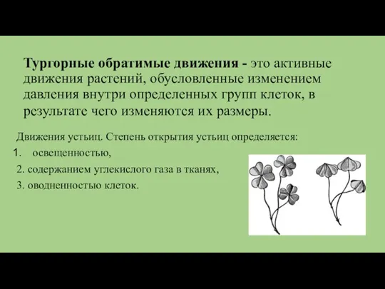 Тургорные обратимые движения - это активные движения растений, обусловленные изменением давления внутри