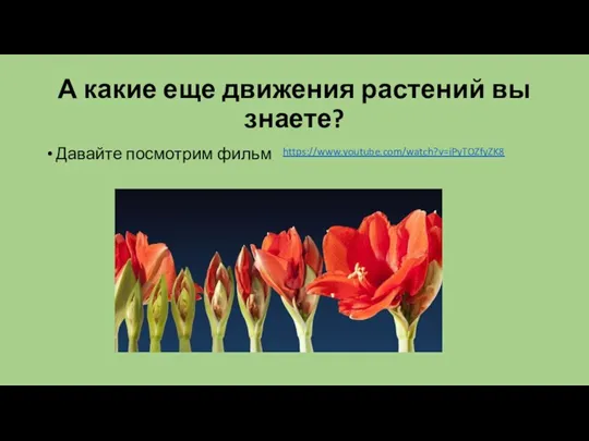 А какие еще движения растений вы знаете? Давайте посмотрим фильм https://www.youtube.com/watch?v=iPyTOZfyZK8