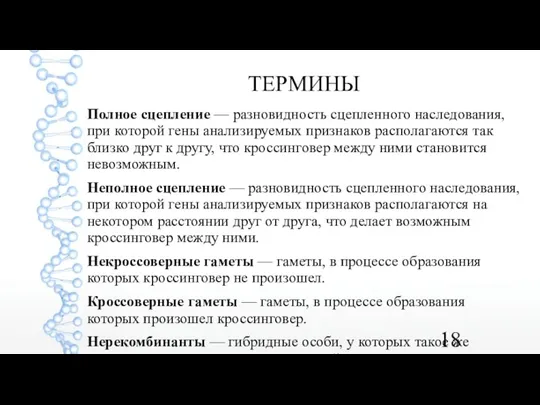 ТЕРМИНЫ Полное сцепление — разновидность сцепленного наследования, при которой гены анализируемых признаков