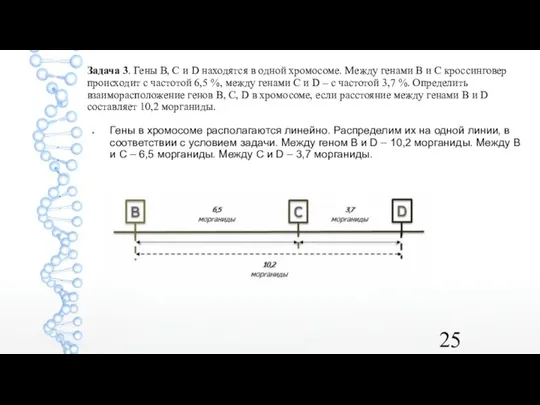 Задача 3. Гены B, C и D находятся в одной хромосоме. Между