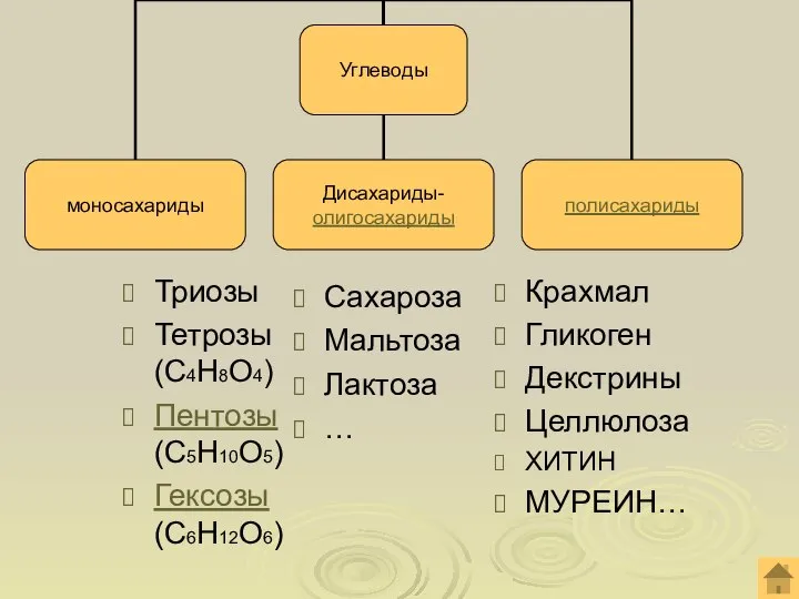 Триозы Тетрозы (С4Н8О4) Пентозы (С5Н10О5) Гексозы (С6Н12О6) Сахароза Мальтоза Лактоза … Крахмал