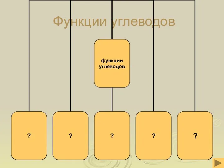 Функции углеводов