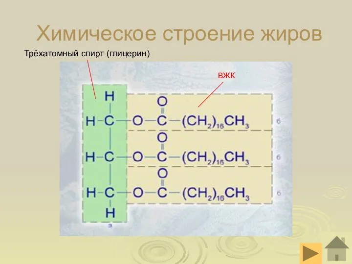 Химическое строение жиров Трёхатомный спирт (глицерин) ВЖК