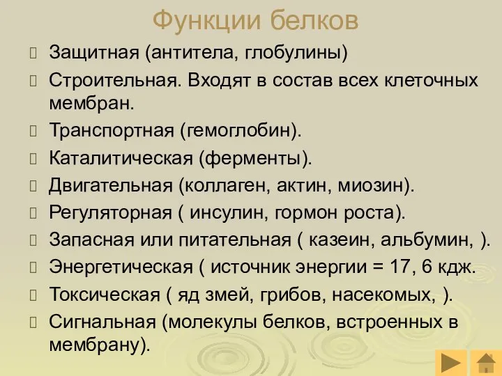 Функции белков Защитная (антитела, глобулины) Строительная. Входят в состав всех клеточных мембран.