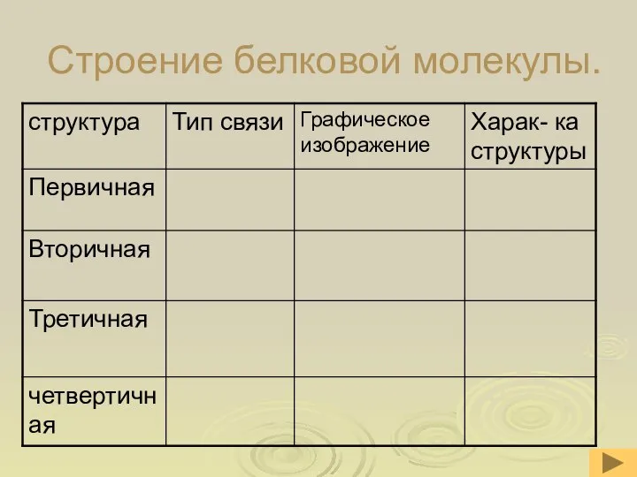 Строение белковой молекулы.