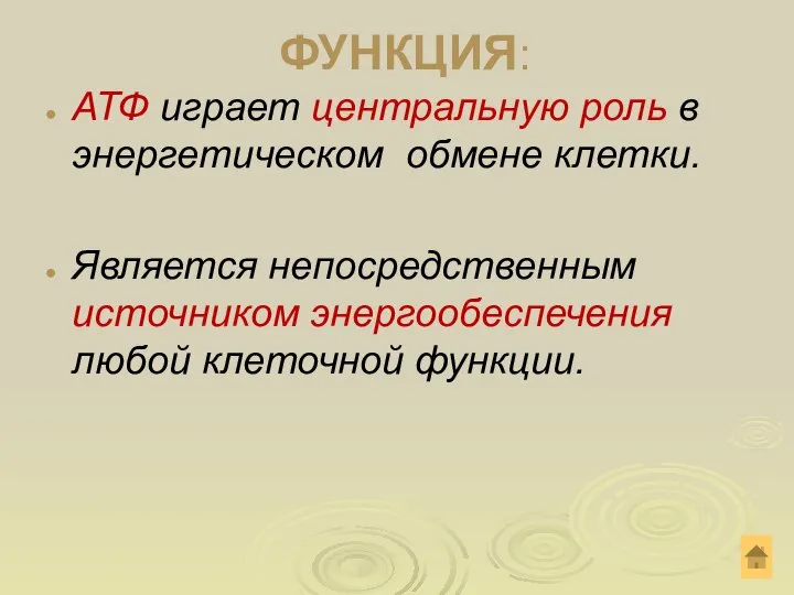 ФУНКЦИЯ: АТФ играет центральную роль в энергетическом обмене клетки. Является непосредственным источником энергообеспечения любой клеточной функции.