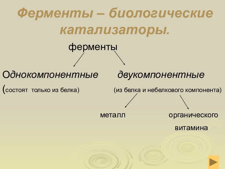 Ферменты – биологические катализаторы. ферменты Однокомпонентные двукомпонентные (состоят только из белка) (из