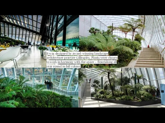 It was designed by award-winning landscape architecture practice Gillespies. Plants were chosen