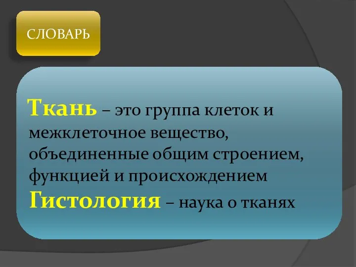 СЛОВАРЬ Ткань – это группа клеток и межклеточное вещество, объединенные общим строением,