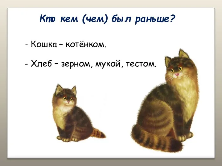 Кто кем (чем) был раньше? Кошка – котёнком. Хлеб – зерном, мукой, тестом.