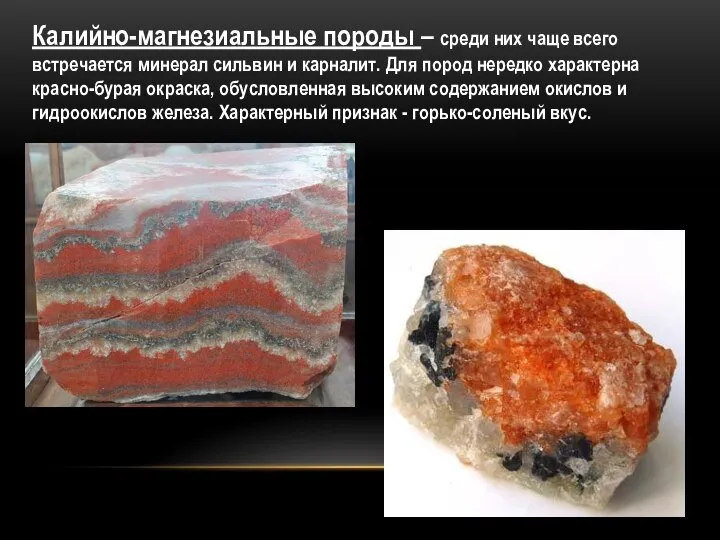 Калийно-магнезиальные породы – среди них чаще всего встречается минерал сильвин и карналит.