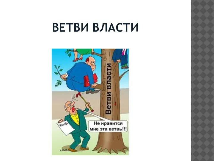 ВЕТВИ ВЛАСТИ