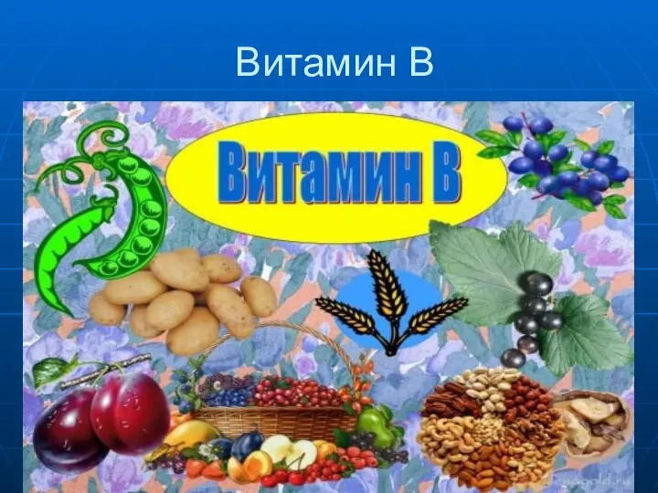 Витамин В