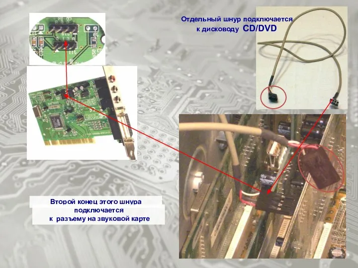Второй конец этого шнура Отдельный шнур подключается к дисководу CD/DVD подключается к разъему на звуковой карте