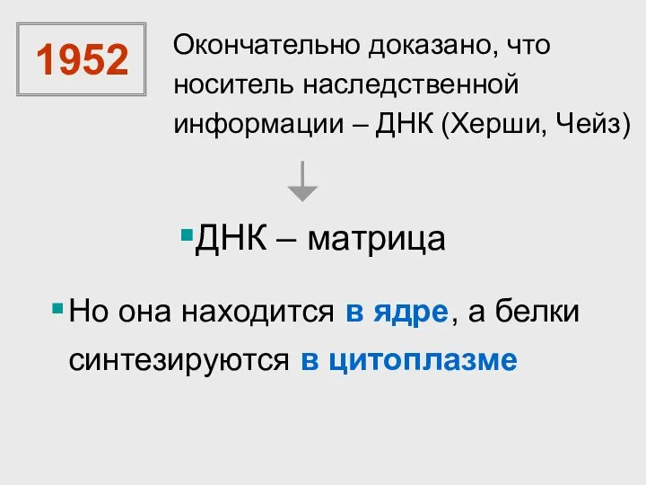 1952 Окончательно доказано, что носитель наследственной информации – ДНК (Херши, Чейз) ДНК