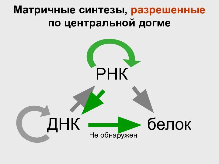 ДНК РНК белок Матричные синтезы, разрешенные по центральной догме Не обнаружен