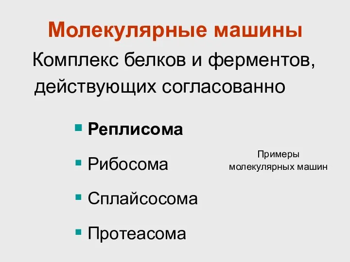 Молекулярные машины Комплекс белков и ферментов, действующих согласованно Реплисома Рибосома Сплайсосома Протеасома Примеры молекулярных машин