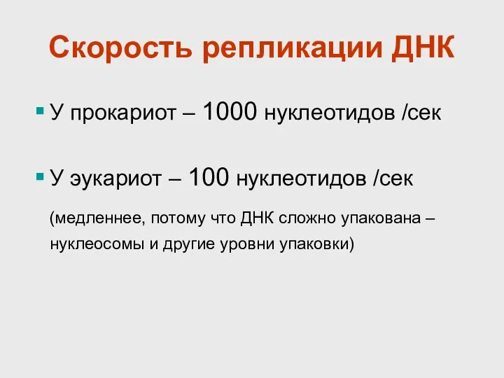 Скорость репликации ДНК У прокариот – 1000 нуклеотидов /сек У эукариот –