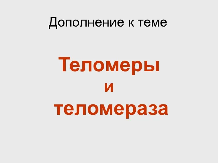 Теломеры и теломераза Дополнение к теме