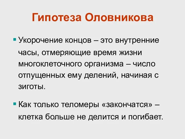 Гипотеза Оловникова Укорочение концов – это внутренние часы, отмеряющие время жизни многоклеточного