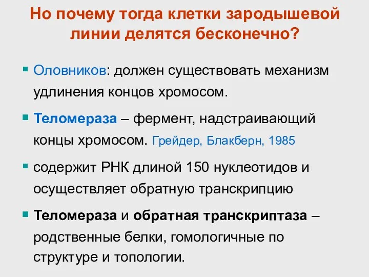 Но почему тогда клетки зародышевой линии делятся бесконечно? Оловников: должен существовать механизм