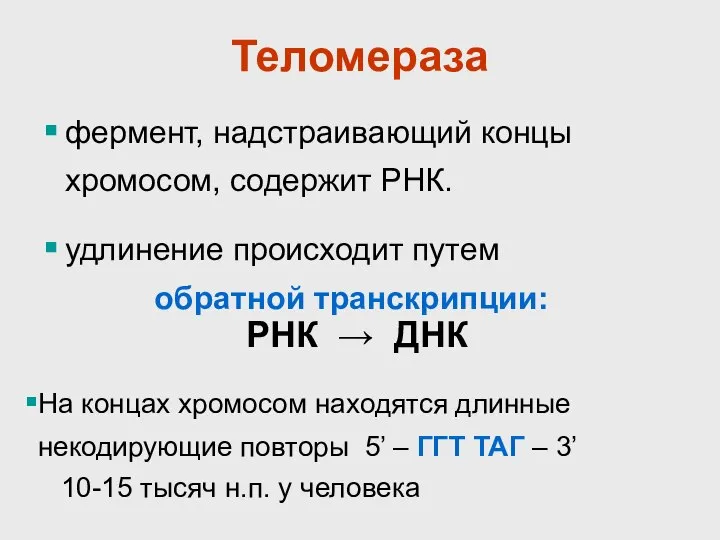 Теломераза фермент, надстраивающий концы хромосом, содержит РНК. удлинение происходит путем обратной транскрипции: