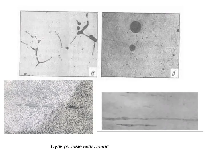 Сульфидные включения