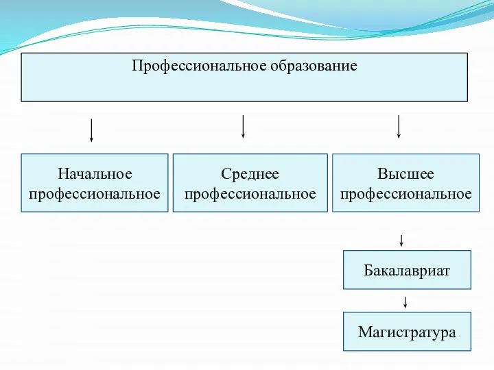 Профессиональное образование Начальное профессиональное Среднее профессиональное Магистратура Бакалавриат Высшее профессиональное