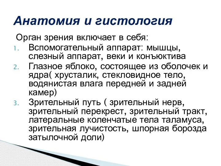 Орган зрения включает в себя: Вспомогательный аппарат: мышцы, слезный аппарат, веки и